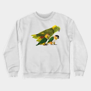 Parrots Crewneck Sweatshirt